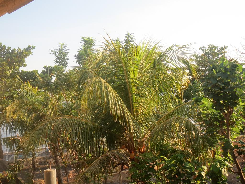 Amed Sari Beach Guesthouse المظهر الخارجي الصورة