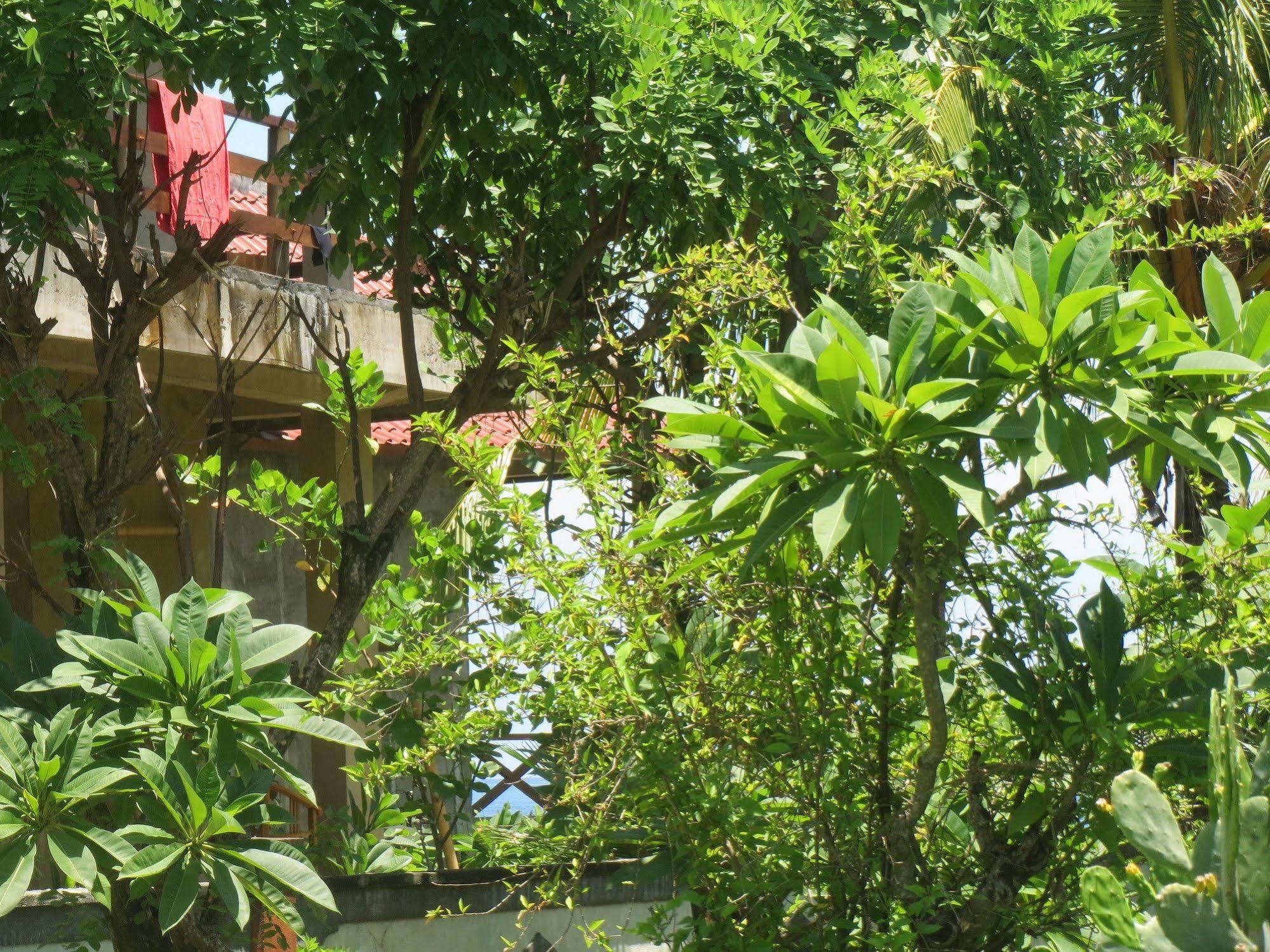 Amed Sari Beach Guesthouse المظهر الخارجي الصورة