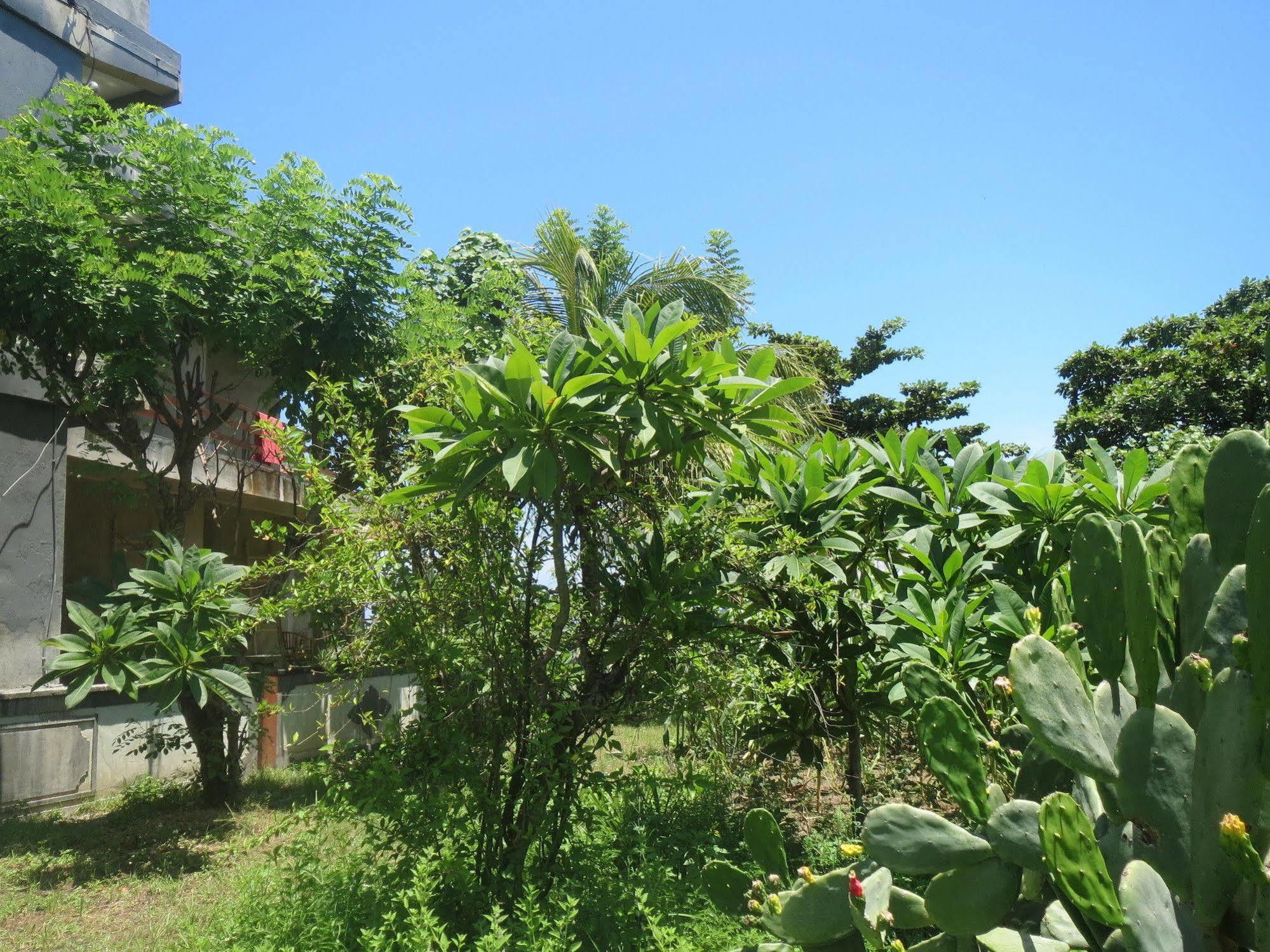 Amed Sari Beach Guesthouse المظهر الخارجي الصورة
